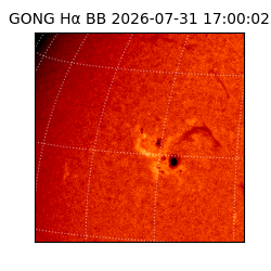 gong - 2026-07-31T17:00:02