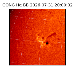 gong - 2026-07-31T20:00:02