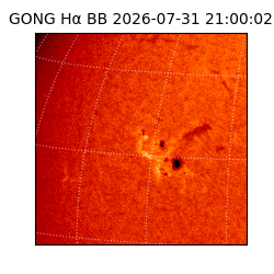 gong - 2026-07-31T21:00:02