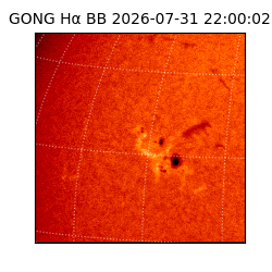 gong - 2026-07-31T22:00:02