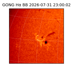 gong - 2026-07-31T23:00:02