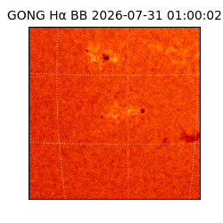gong - 2026-07-31T01:00:02