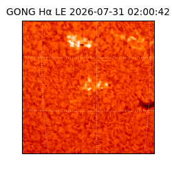 gong - 2026-07-31T02:00:42