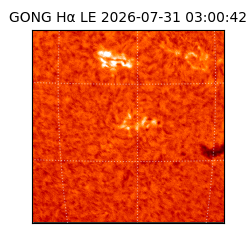 gong - 2026-07-31T03:00:42