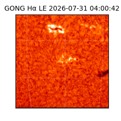 gong - 2026-07-31T04:00:42