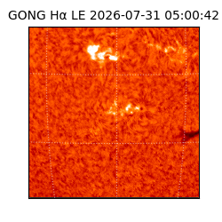 gong - 2026-07-31T05:00:42