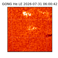 gong - 2026-07-31T06:00:42