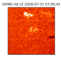 gong - 2026-07-31T07:00:42