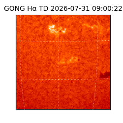 gong - 2026-07-31T09:00:22