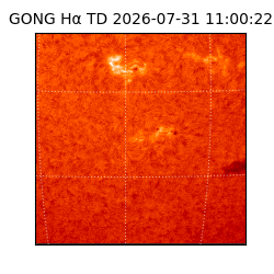 gong - 2026-07-31T11:00:22