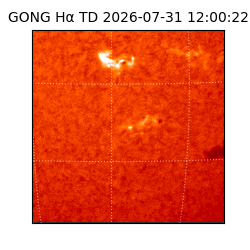 gong - 2026-07-31T12:00:22