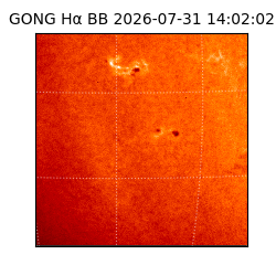 gong - 2026-07-31T14:02:02