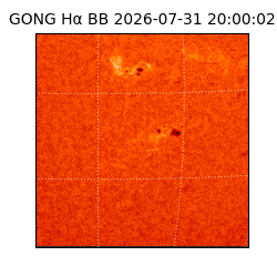 gong - 2026-07-31T20:00:02