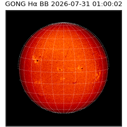 gong - 2026-07-31T01:00:02