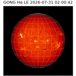 gong - 2026-07-31T02:00:42