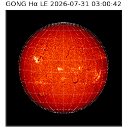 gong - 2026-07-31T03:00:42