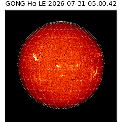 gong - 2026-07-31T05:00:42