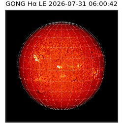 gong - 2026-07-31T06:00:42
