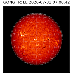 gong - 2026-07-31T07:00:42