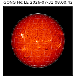 gong - 2026-07-31T08:00:42
