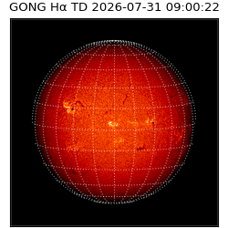gong - 2026-07-31T09:00:22