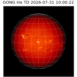 gong - 2026-07-31T10:00:22