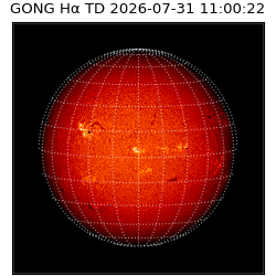 gong - 2026-07-31T11:00:22