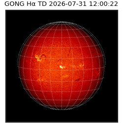 gong - 2026-07-31T12:00:22