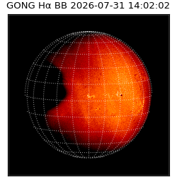 gong - 2026-07-31T14:02:02