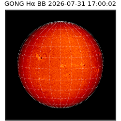gong - 2026-07-31T17:00:02