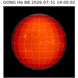 gong - 2026-07-31T19:00:02