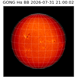 gong - 2026-07-31T21:00:02