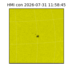 shmi - 2026-07-31T11:58:45.500000