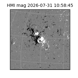 shmi - 2026-07-31T10:58:45.600000