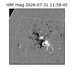 shmi - 2026-07-31T11:58:45.500000