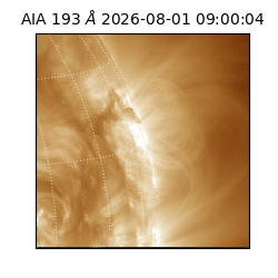 saia - 2026-08-01T09:00:04.845000