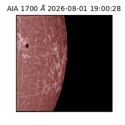 saia - 2026-08-01T19:00:28.716000