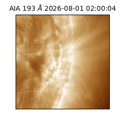 saia - 2026-08-01T02:00:04.842000