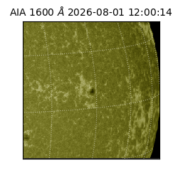 saia - 2026-08-01T12:00:14.123000
