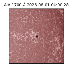 saia - 2026-08-01T04:00:28.717000
