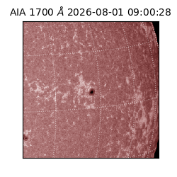 saia - 2026-08-01T09:00:28.716000