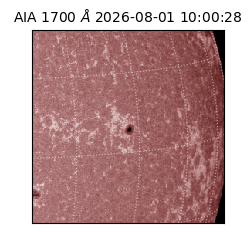 saia - 2026-08-01T10:00:28.716000