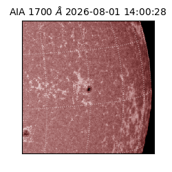 saia - 2026-08-01T14:00:28.717000