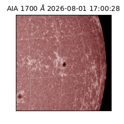 saia - 2026-08-01T17:00:28.740000