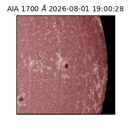 saia - 2026-08-01T19:00:28.716000