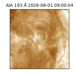 saia - 2026-08-01T09:00:04.845000
