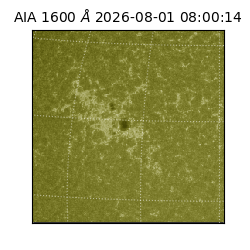 saia - 2026-08-01T08:00:14.130000