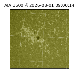 saia - 2026-08-01T09:00:14.123000