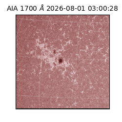 saia - 2026-08-01T03:00:28.720000