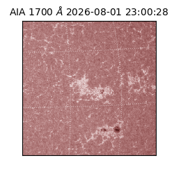 saia - 2026-08-01T23:00:28.719000